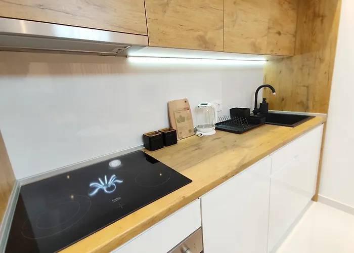 Silva 兹拉蒂博尔