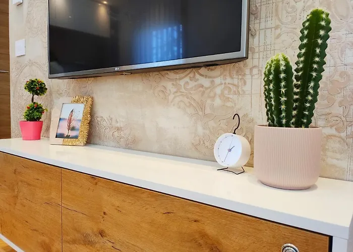 Silva 兹拉蒂博尔