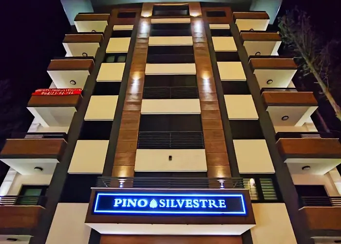 Silva 兹拉蒂博尔